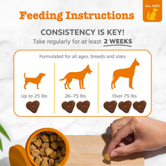 EpiCor Pets Zesty Paws, fortalece la respuesta inmune.