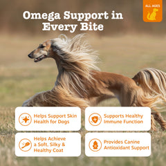 Etiqueta frontal de Zesty Paws Omega-3 destacando piel sana.