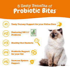 Zesty Paws Probiotic Bites con DE111, bacillus subtilis para apoyo digestivo