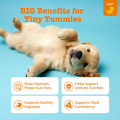 Zesty Paws Probióticos para cachorros: mezcla triple para una digestión equilibrada.