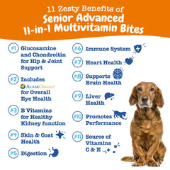Zesty Paws 8-en-1 para perros seniors: favorece movilidad y confort diario.