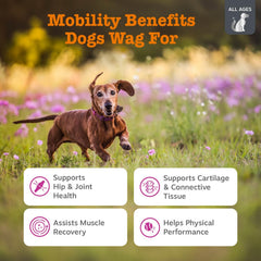 Bocaditos de Zesty Paws Vet Strength Movilidad con sabor y soporte articular