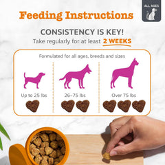 Ingredientes de Zesty Paws Vet Strength Movilidad muestran componentes clave para soporte articular