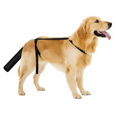 Protector de cola ZHLKHIOP con ajuste seguro para colas lesionadas.