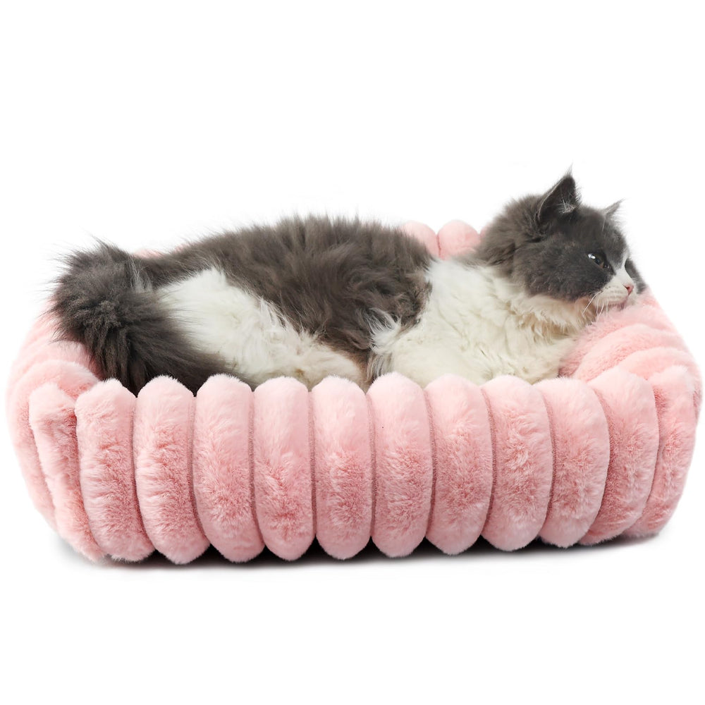 Cama zihapgpzp para perro pequeño, vista frontal, suavidad que invita al descanso