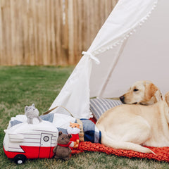 Burrow para perros, juego de escondite para estimular la mente y la exploración