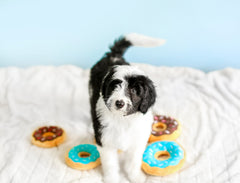ZippyPaws Juguete peluche sin relleno, diseño duradero para masticar sin desorden.