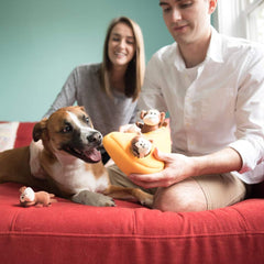 Miniz de ZippyPaws, tamaño pequeño y mediano, ideal para perros activos.