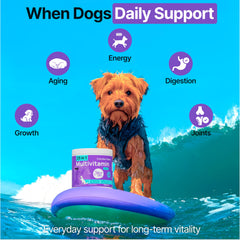 Piel y pelaje saludables con ZOOMEZEN para perros.