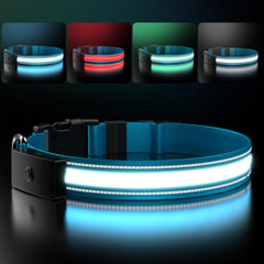 ZOWPET collar LED azul XL para paseos nocturnos con alta visibilidad.