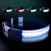 Collar LED ZOWPET con brillo máximo para paseos nocturnos seguros.