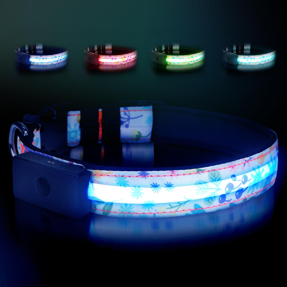 Collar LED ZOWPET para perros con brillo máximo y visibilidad nocturna