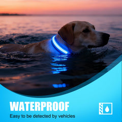 ZOWPET collar LED con carga magnética para recargas rápidas y prácticas.