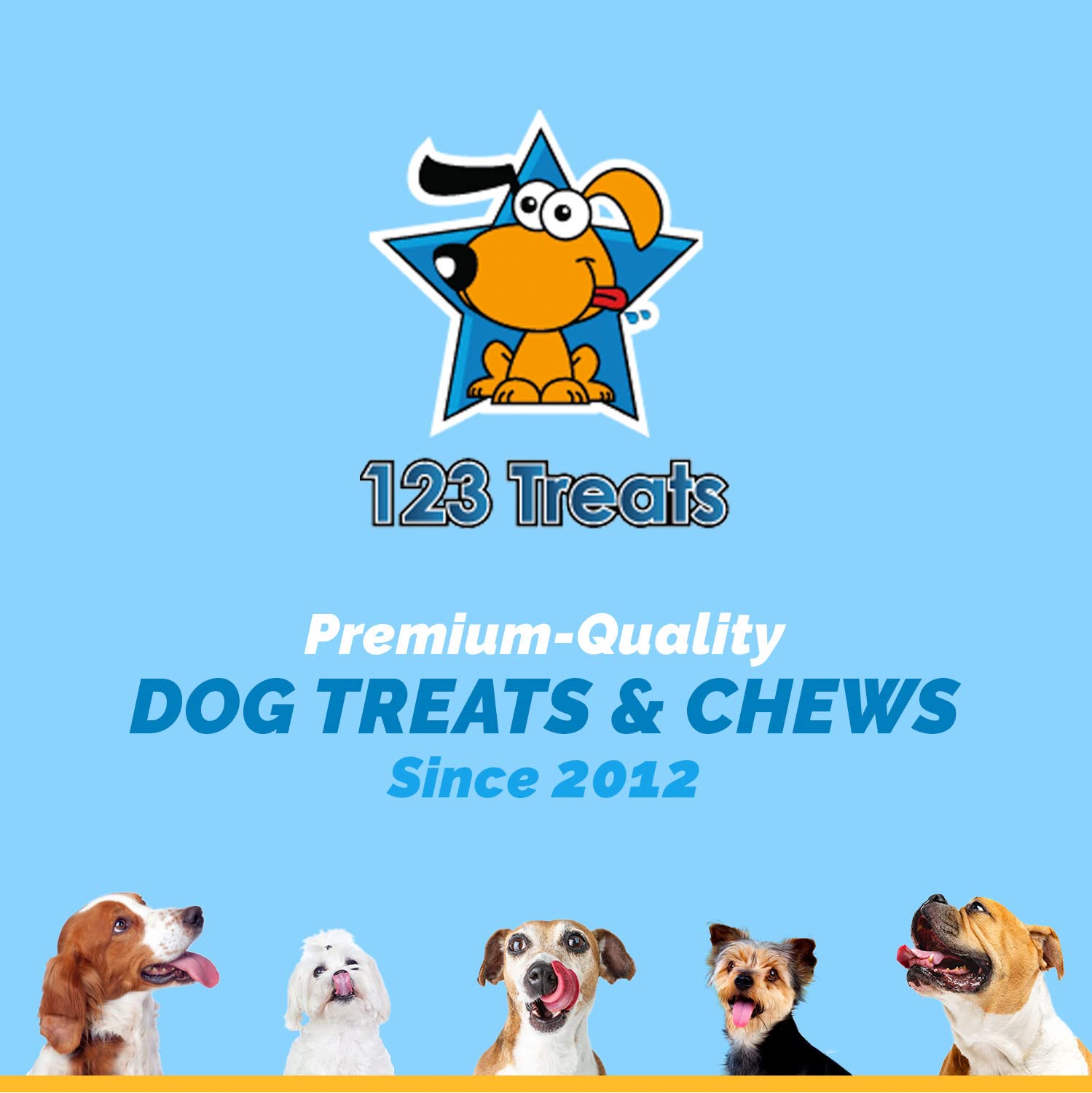 123 Treats chips para uso diario en casa.