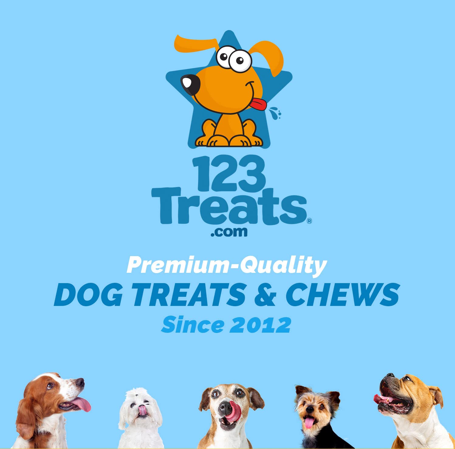 123 Treats orejas de cerdo para perros, aroma tentador al hornearse