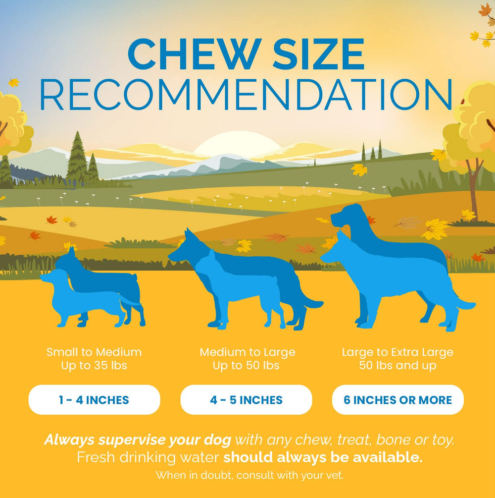 123 Treats orejas de cerdo para perros, duradero snack para masticar