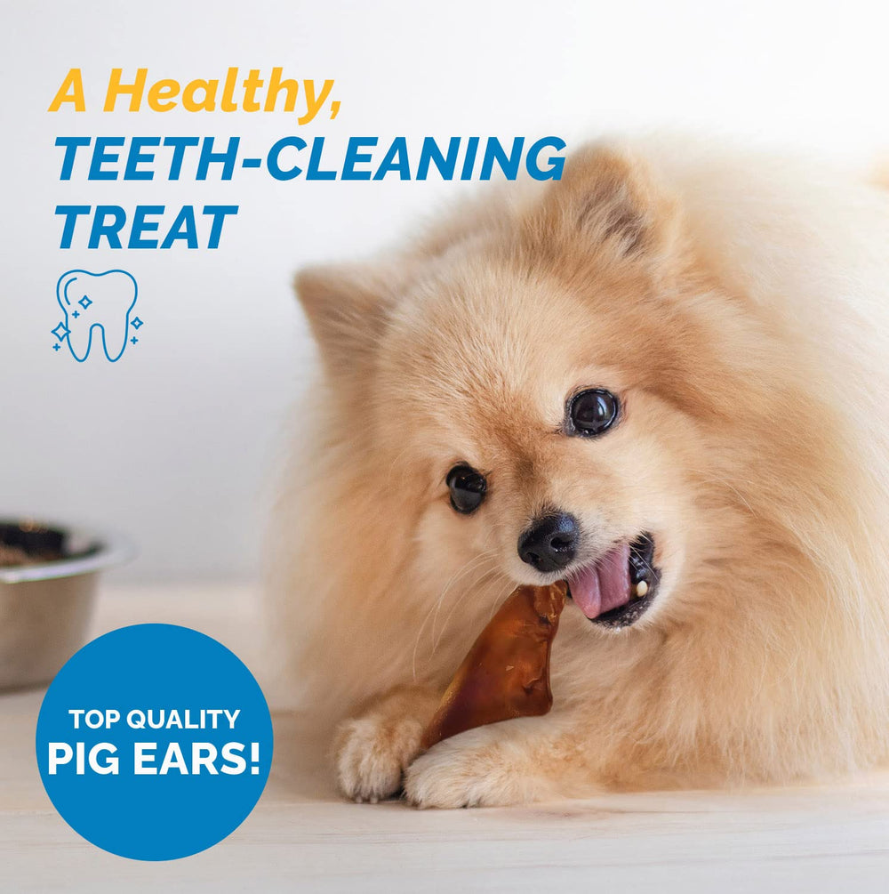 123 Treats orejas de cerdo para perros, sabor premium horneado