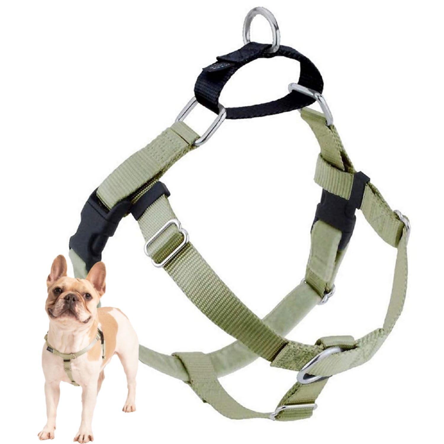 Arnés Freedom de 2 Hounds Design para paseos sin tirar y mayor comodidad.