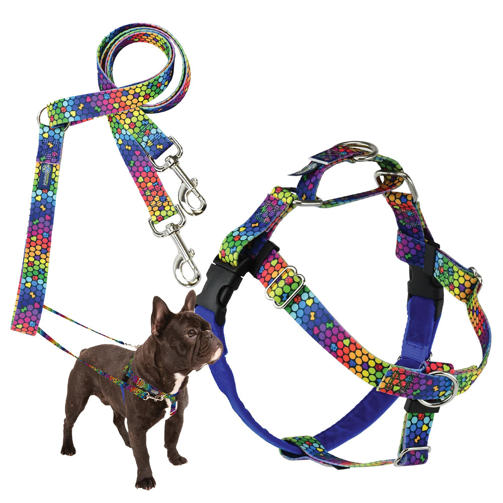 Arnés Freedom No-Pull de 2 Hounds Design en azul para paseos sin tirar