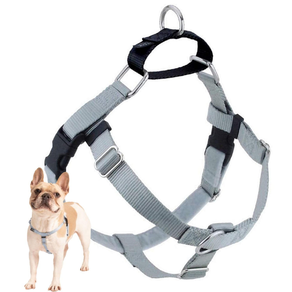 Arnés Freedom sin tirones de 2 Hounds Design para un paseo cómodo y controlado.