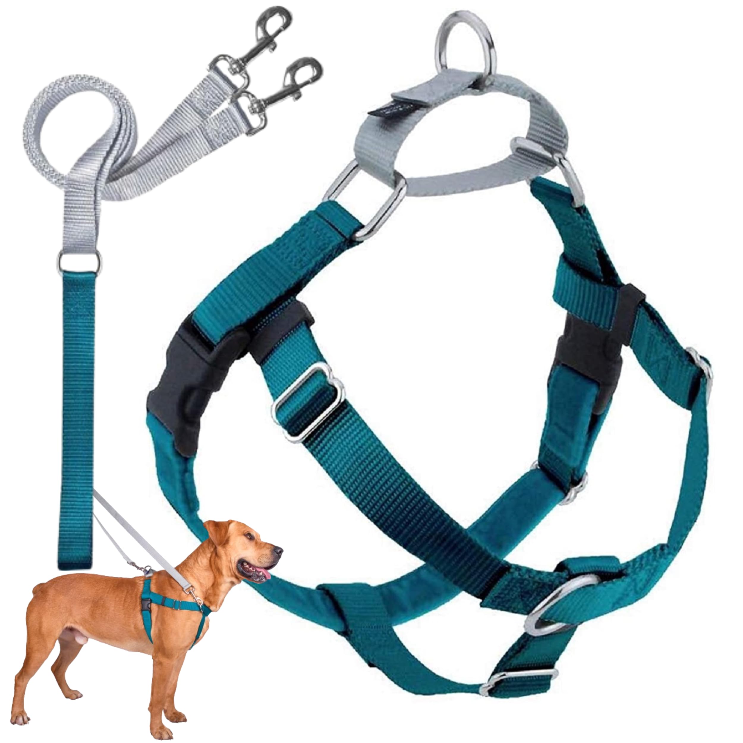 Arnés Freedom de 2 Hounds Design, vista frontal, control suave durante paseos