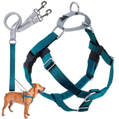 Arnés Freedom de 2 Hounds Design, vista frontal, control suave durante paseos