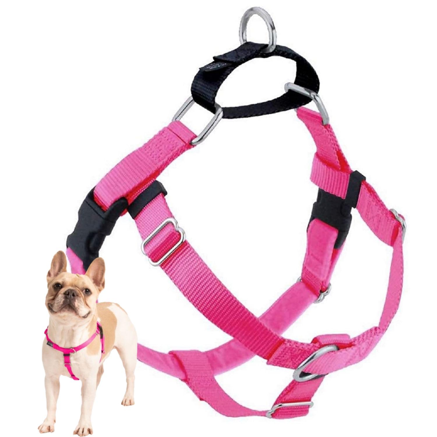 Arnés Freedom de 2 Hounds Design, vista frontal, mejor control en paseos.