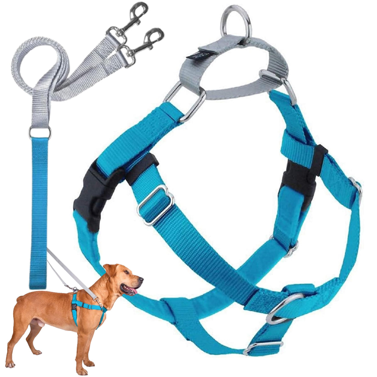 Arnés anti tirones de 2 Hounds Design para paseos más suaves.