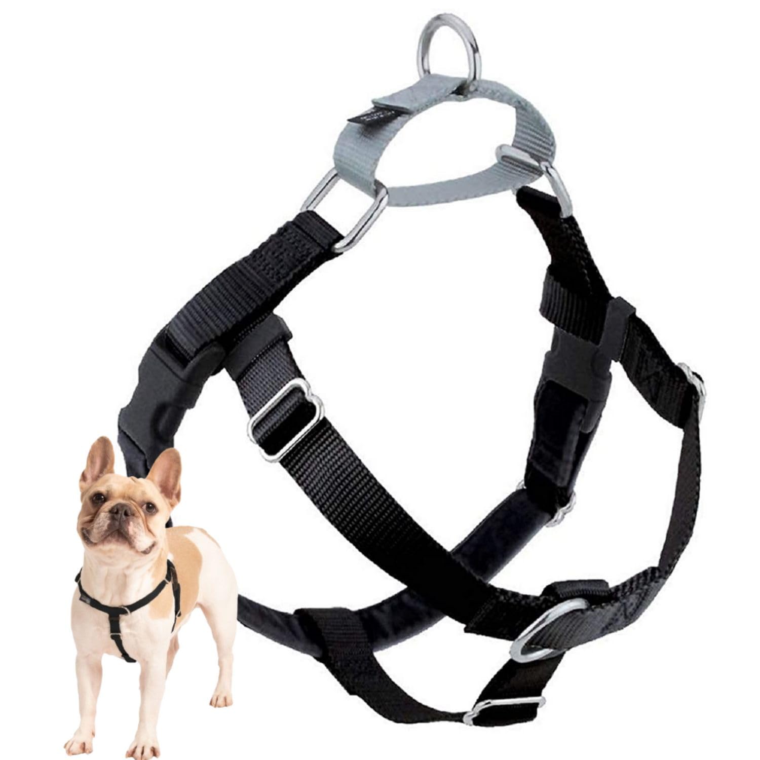 2 Hounds Design Freedom No-Pull: arnés trasero para paseos sin tirones