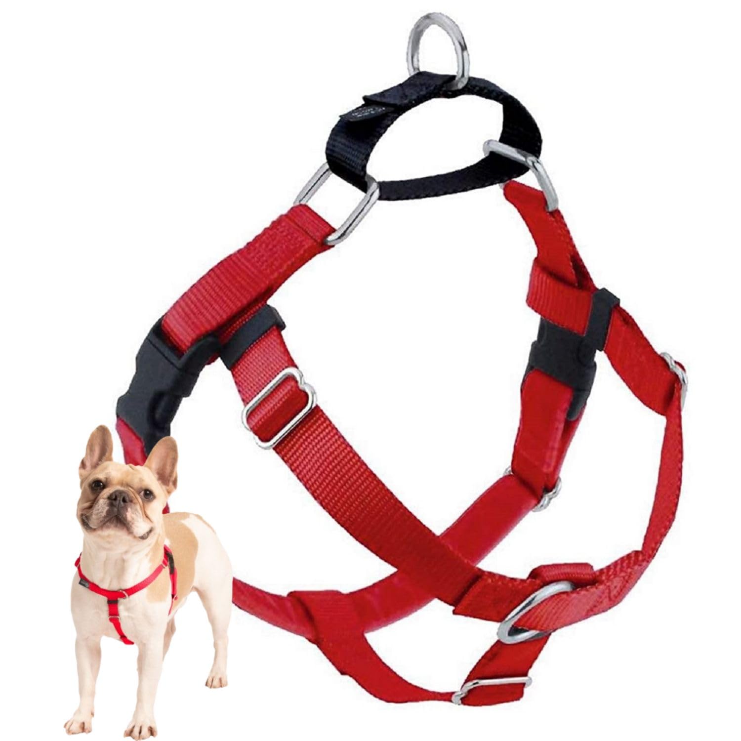 Arnés Freedom de 2 Hounds Design visto frontal en rojo para paseos sin tirar.