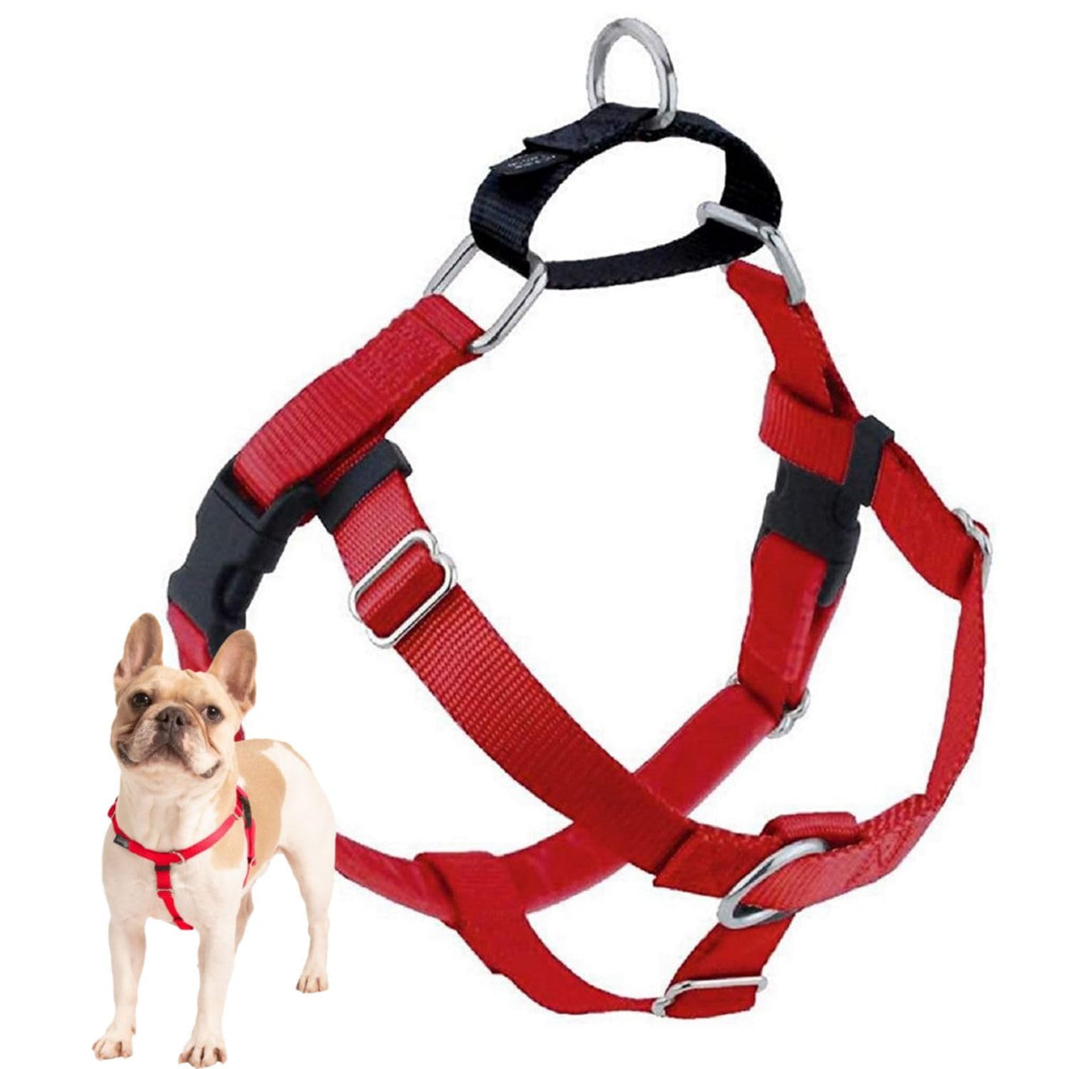 Arnés Freedom de 2 Hounds Design visto frontal en rojo para paseos sin tirar.