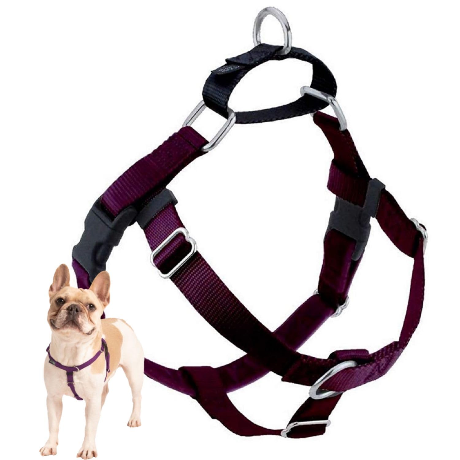 Arnés Freedom 2 Hounds Design, vista frontal, control suave durante paseos.