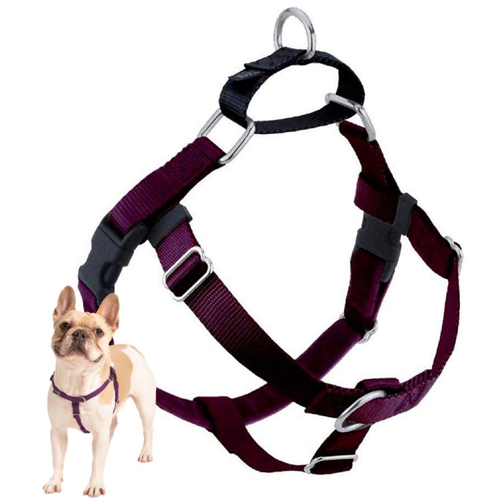 Arnés Freedom 2 Hounds Design, vista frontal, control suave durante paseos.