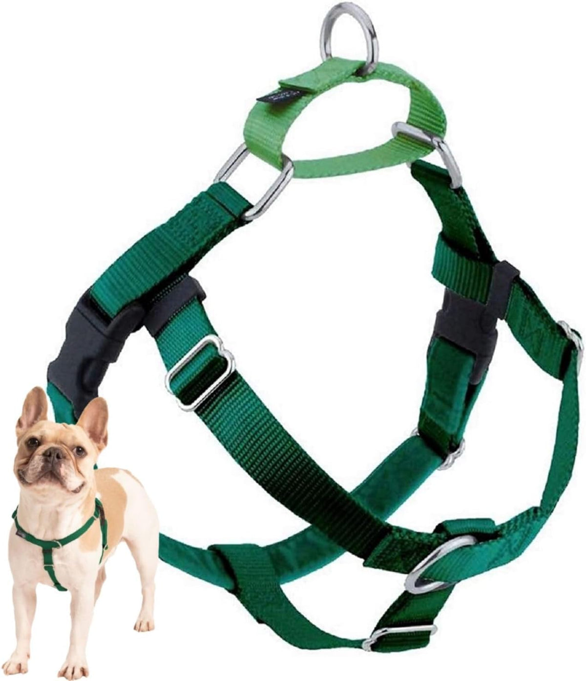 Arnés Freedom de 2 Hounds Design con anillo frontal para mayor control en paseos.