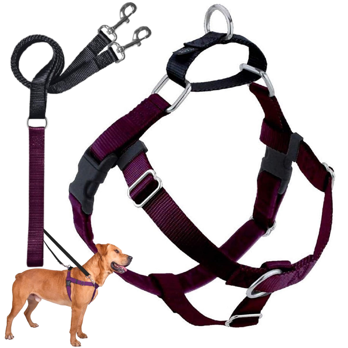 Arnés Freedom sin tirón de 2 Hounds Design para paseos más controlados.
