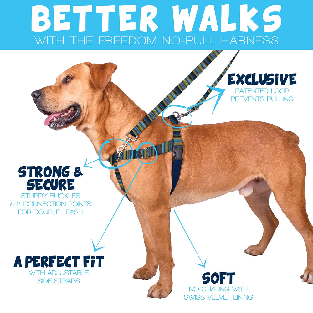 2 Hounds Design Freedom arnés sin tirones, vista trasera mostrando correas y ajustes.