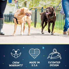 Forro Velvet suizo de 2 Hounds Design Freedom No Pull para mayor comodidad.
