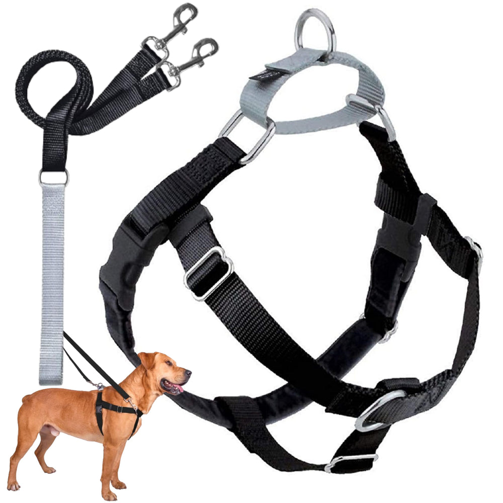 Arnés Freedom sin tirones de 2 Hounds Design para paseos tranquilos.