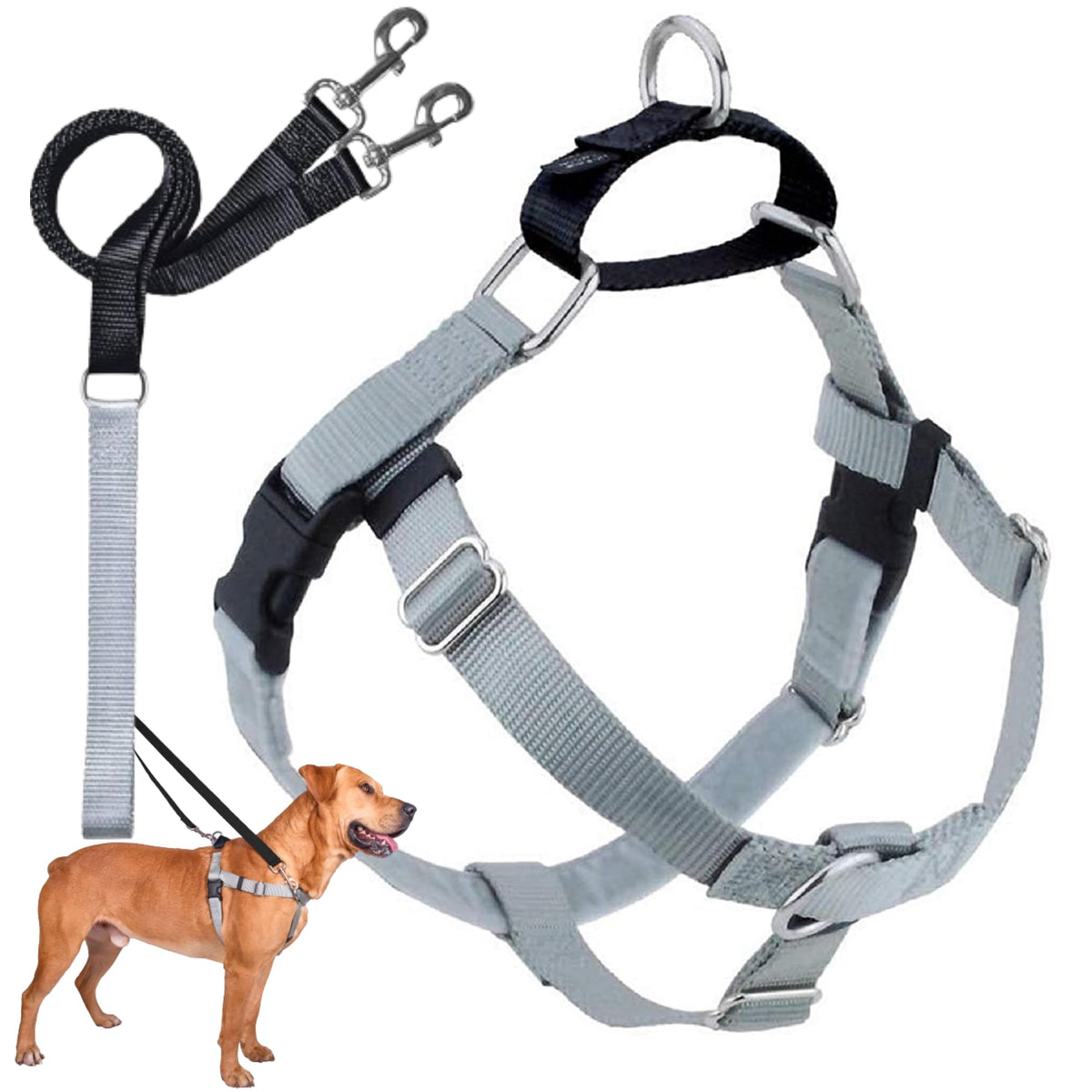 Arnés Freedom de 2 Hounds Design sin tirones para paseos más tranquilos.