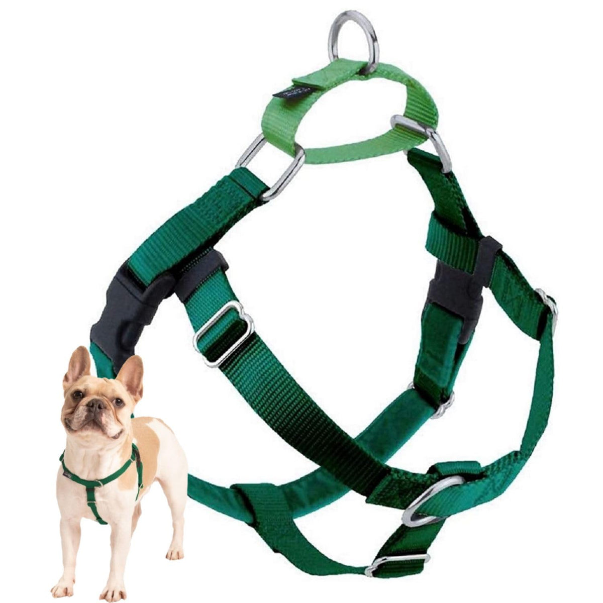 Arnés Freedom sin tirones de 2 Hounds Design para paseos tranquilos y controlados.