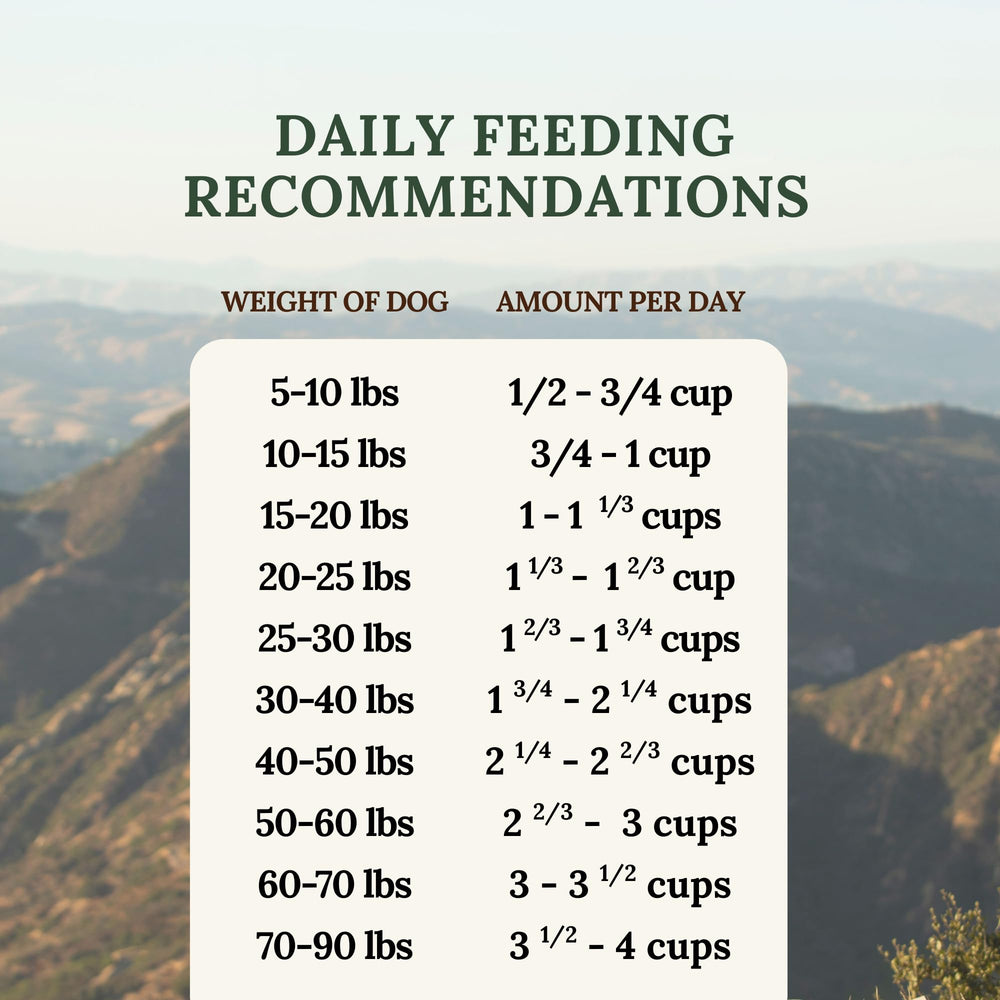 360 Pet Nutrition conservación sin refrigeración, perfecta para la casa