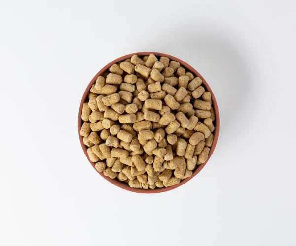 360 Pet Nutrition – hecho en EE. UU para frescura y control de calidad