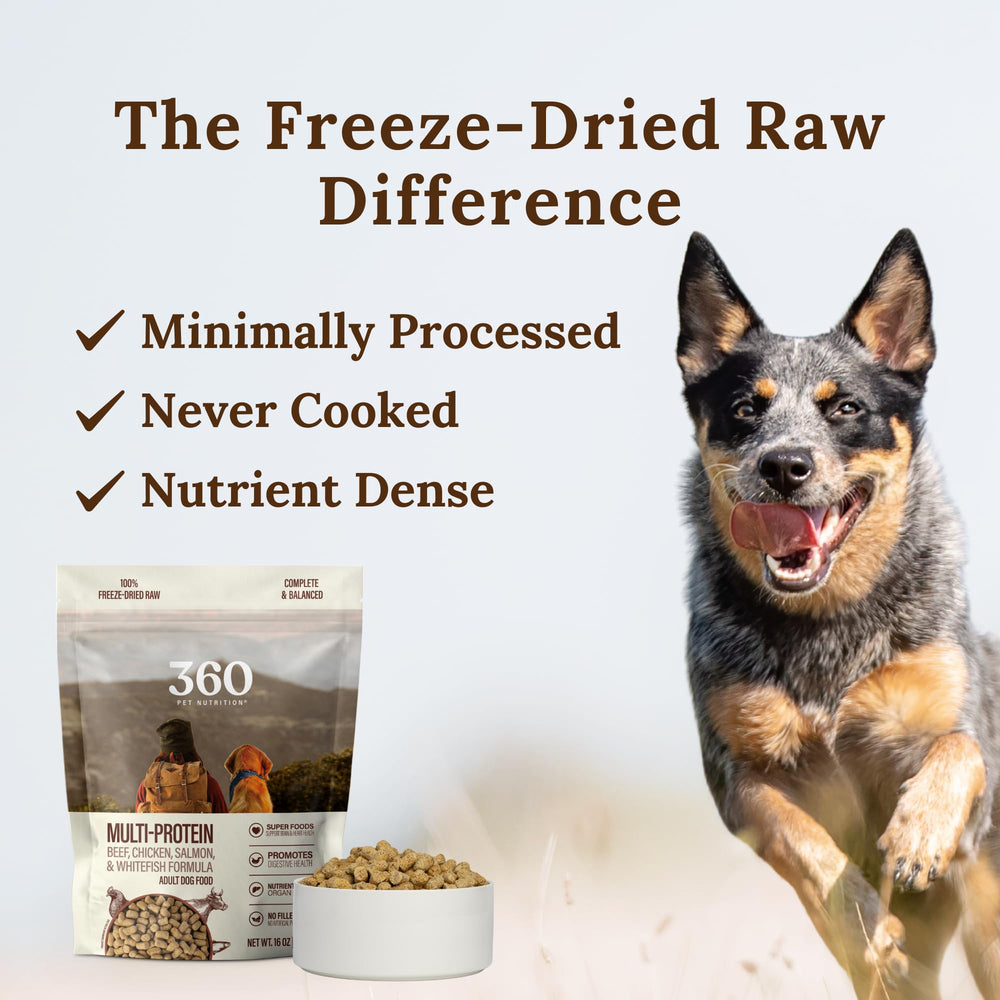 360 Pet Nutrition – piezas deshidratadas en tamaño cómodo para perros de todas las edades