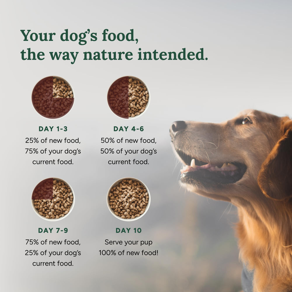 360 Pet Nutrition porciones prácticas de tamaño para perros de todas las razas