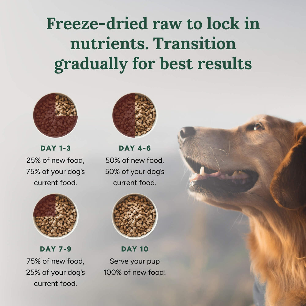 360 Pet Nutrition trozos pequeños para perros de cualquier tamaño