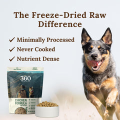 360 Pet Nutrition trozos secos de pollo y órganos para perros
