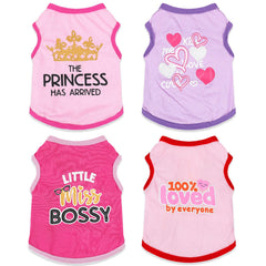 Conjunto rosa de 4 piezas para chihuahua, ideal para paseos de verano