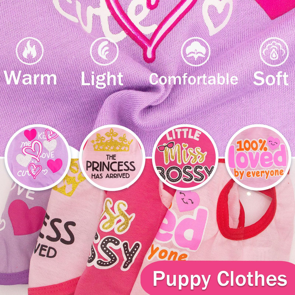 Outfit rosa para paseos y días soleados con 4 piezas ropa perro