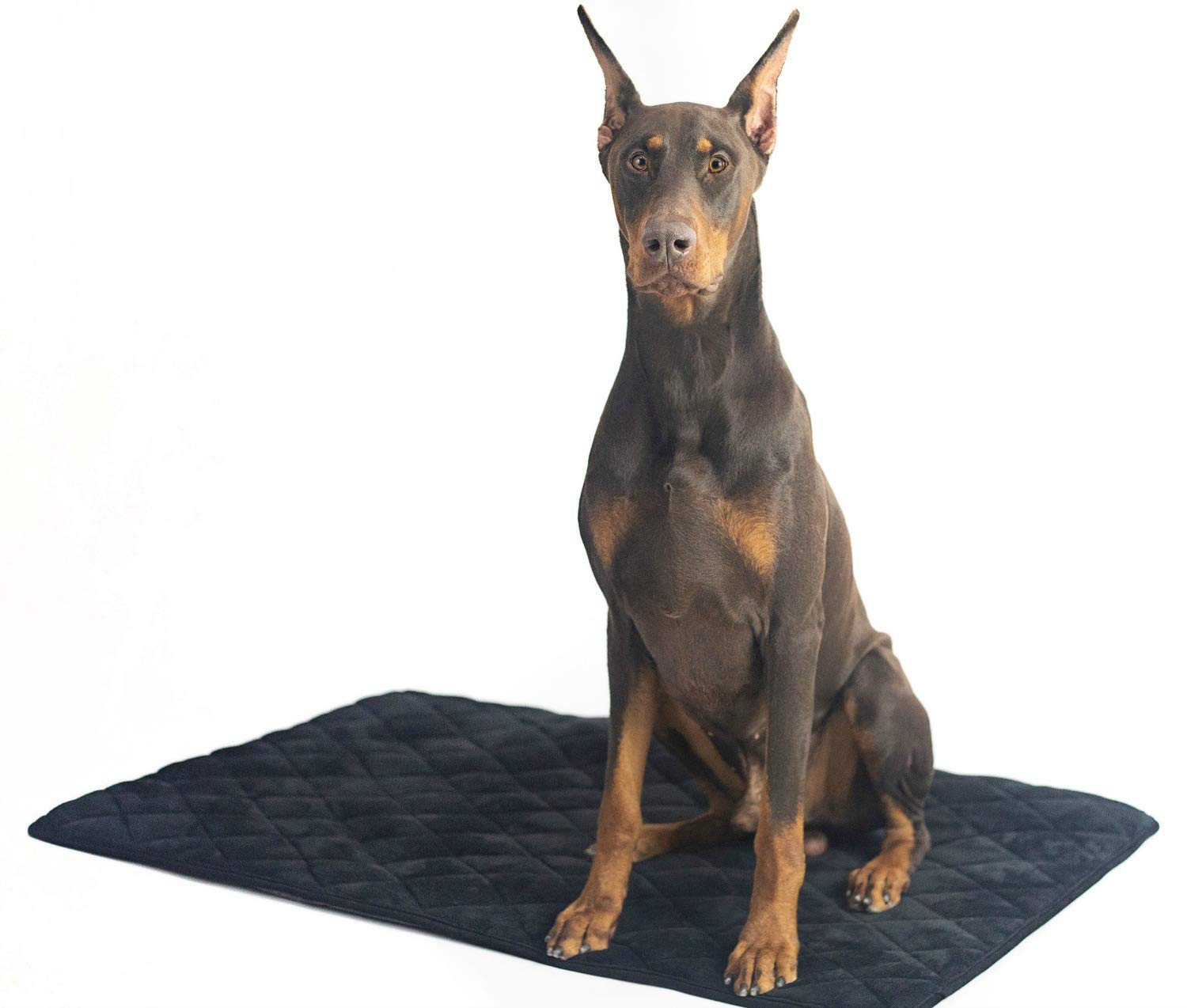 4Knines alfombrilla jaula extralarga negra: descanso cómodo en jaula para tu perro
