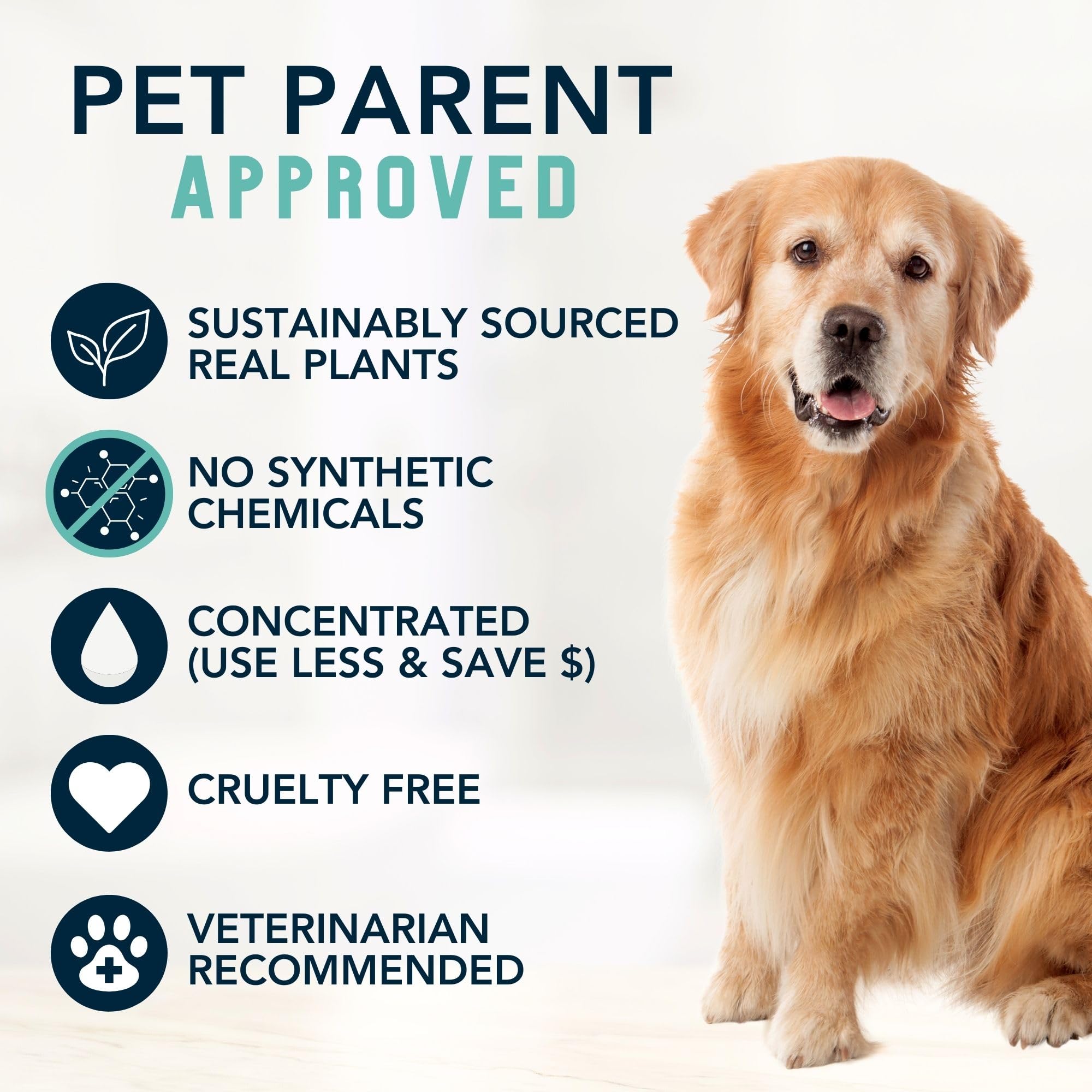 4Legger champú para perro: aroma a mentas para una experiencia de baño fresca.